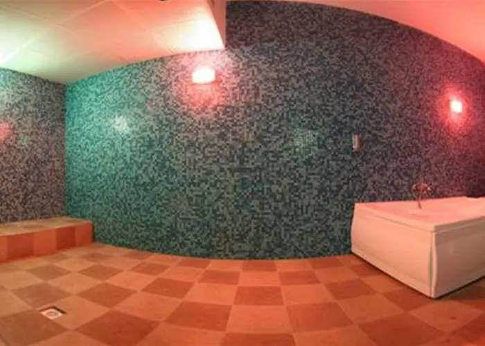 ホテル Grand Termal Kozaklı